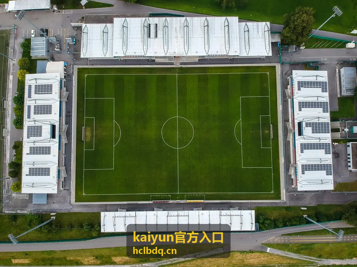 kaiyun官方入口浏览器缓存与版本处理示意